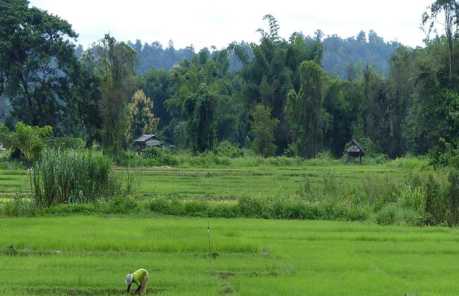 ResiRest - Juntando-se a uma família local para uma refeição em Chiang Mai - Foto 2